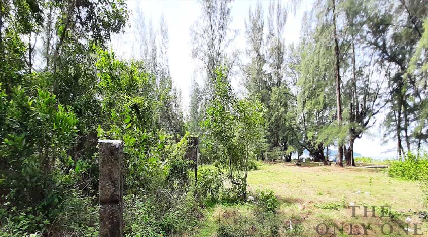 the-onlyone-group-realestate-phuket-beach-front-land-for-sale-mai-kao-03