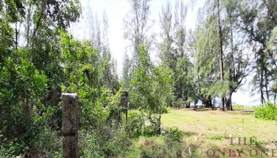 the-onlyone-group-realestate-phuket-beach-front-land-for-sale-mai-kao-03